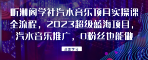 听潮阁学社汽水音乐项目实操课全流程，2023超级蓝海项目，汽水音乐推广，0粉丝也能做！好迷你资源网-免费知识付费资源项目下载实战训练营好迷你资源网
